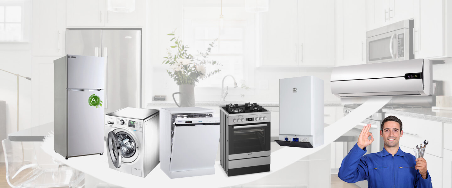 Ekinözü Electrolux Servisi